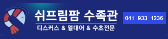 http://xn--hc0bn6in0h88ho8f39h.com/data/apms/background/%EC%89%AC%ED%94%84%EB%A6%BC%ED%94%BC%EC%8B%9C.jpg